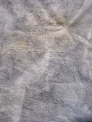 Grays fat2